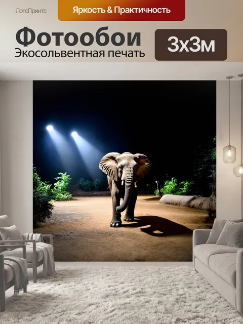 Фотообои слон в ночном зоопарке