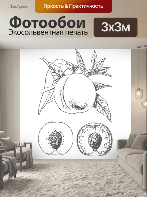 Фотообои Персики фруктовый рисунок Клипарт