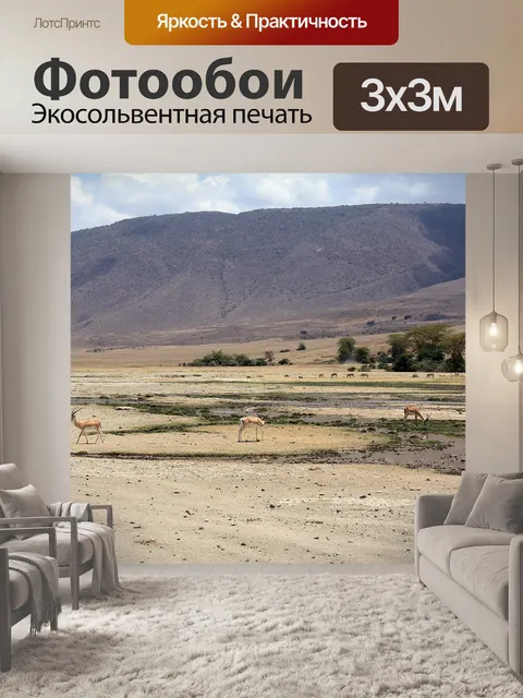Фотообои Антилопы