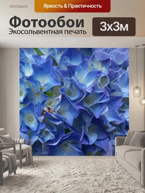 Фотообои Гортензия