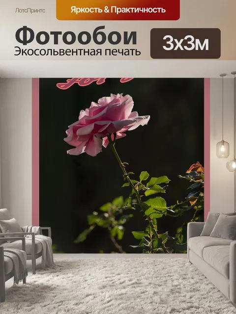 Фотообои Приветствие Шаблон Роза Цветок