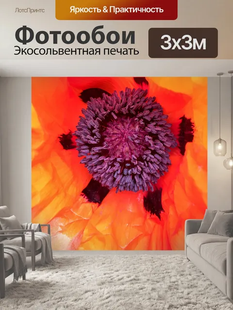 Фотообои Цветок мака