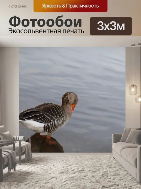 Фотообои Птица