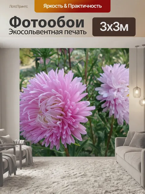 Фотообои Однолетники