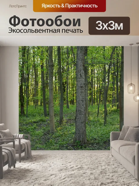 Фотообои лес