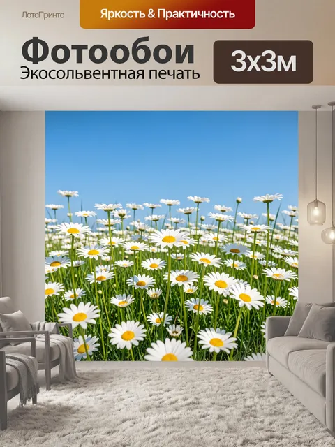 Фотообои Ромашковое поле под голубым небом