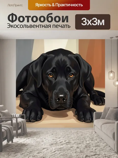 Фотообои Черный лабрадор лежа
