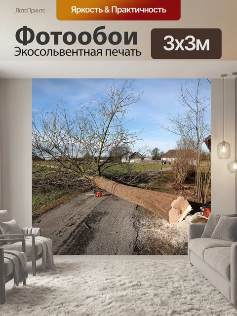 Фотообои Дерево