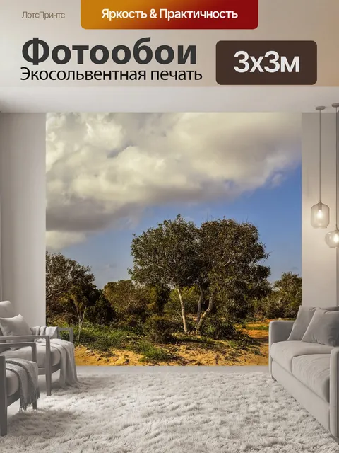 Фотообои Роща