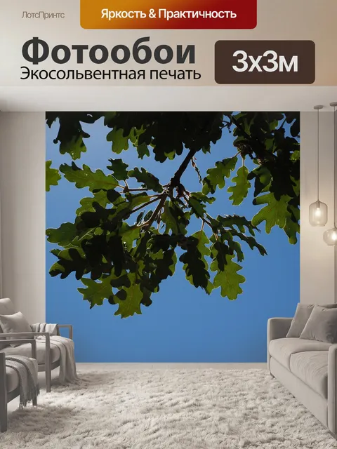 Фотообои Дубовые листья