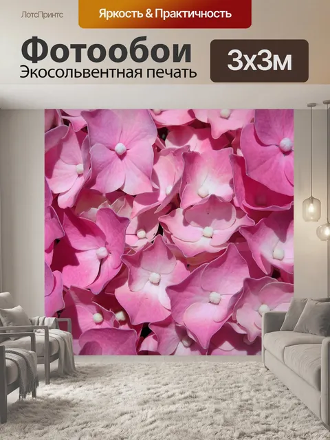 Фотообои Гортензия