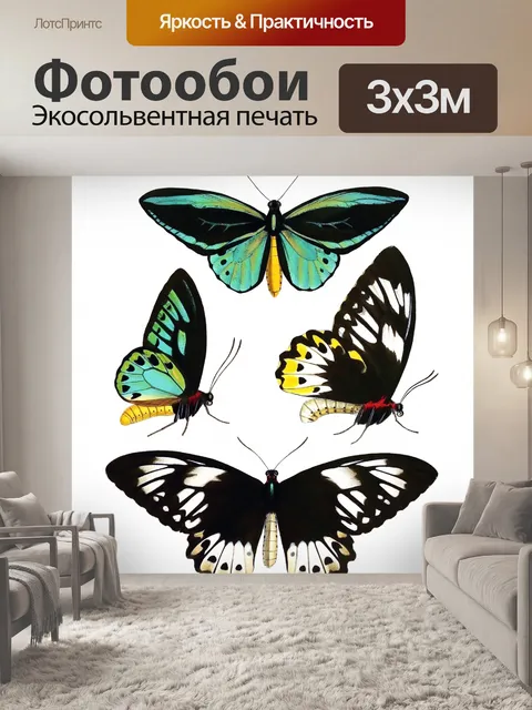 Фотообои Бабочки Винтаж Арт Принт