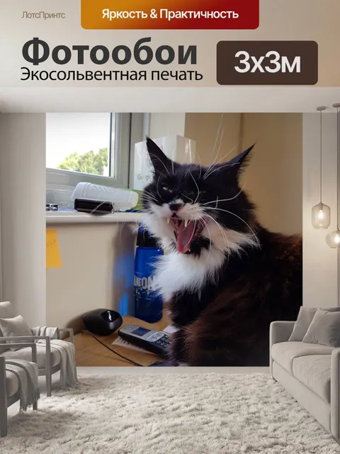 Фотообои Кошка зевает