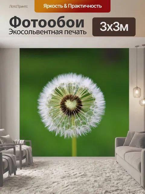 Фотообои Одуванчик