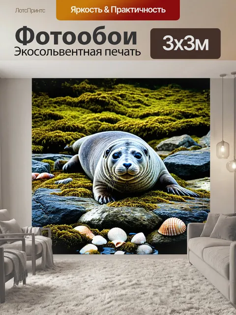Фотообои серый тюлень, величественно лежащий на скалах гельголанда, окружённый зелеными водорослями и морскими…