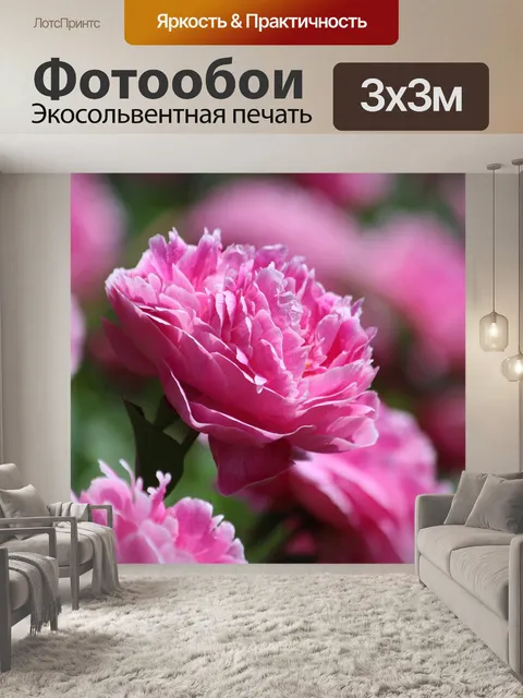 Фотообои Пион