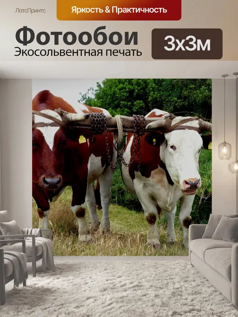 Фотообои Бык