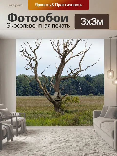 Фотообои Мертвое дерево