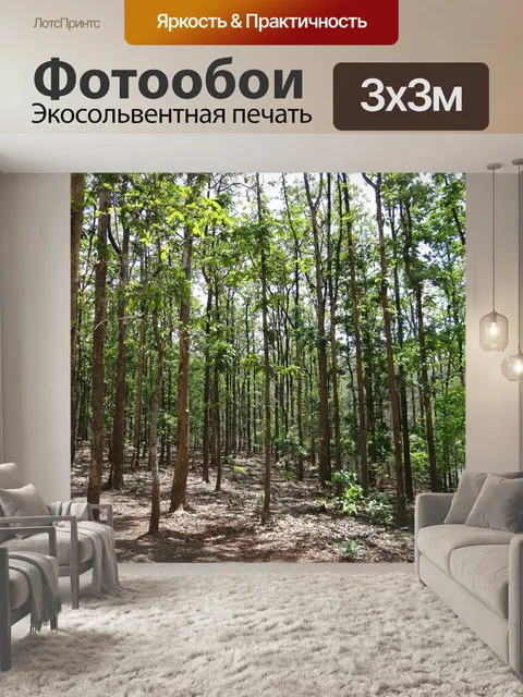Фотообои Тик леса