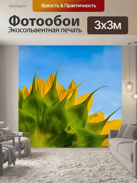 Фотообои Подсолнух и голубое небо