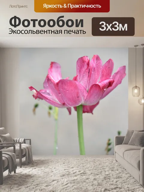 Фотообои Капли дождя на цветах
