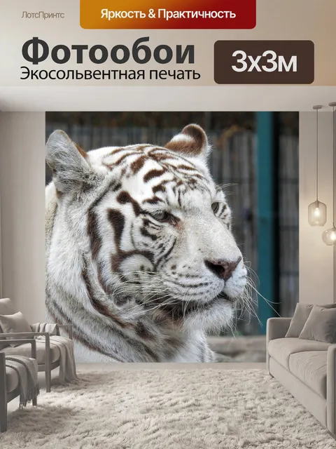 Фотообои Белый тигр