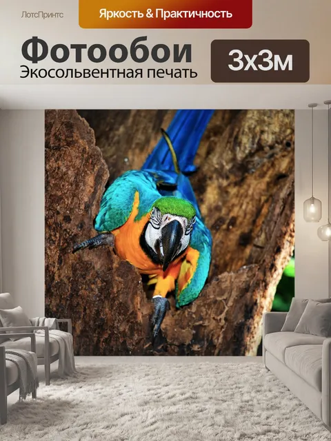 Фотообои Бразилия