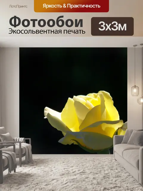 Фотообои Желтая роза