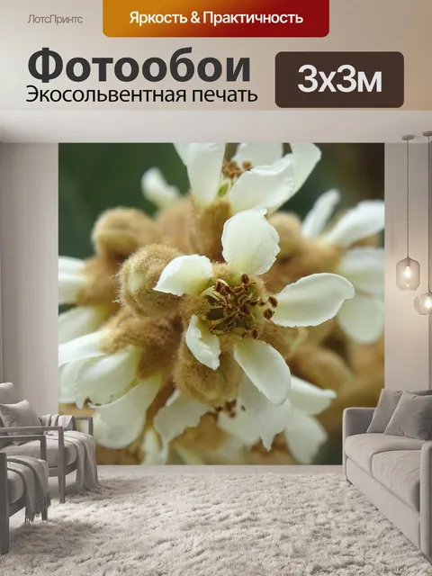 Фотообои Цветок