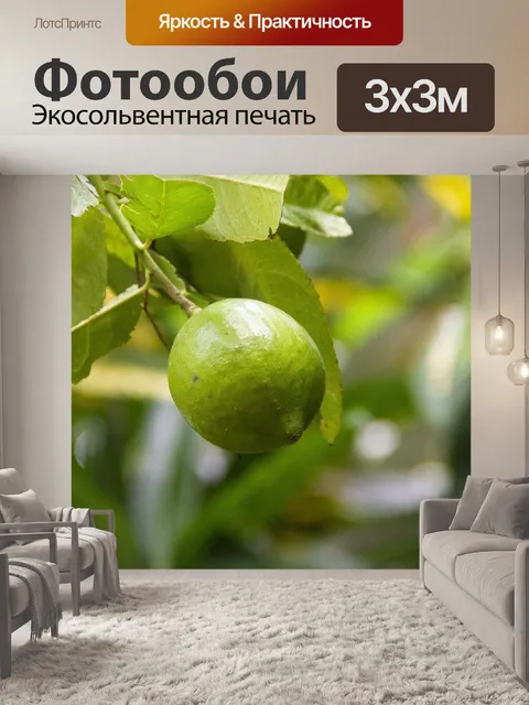 Фотообои Лимон