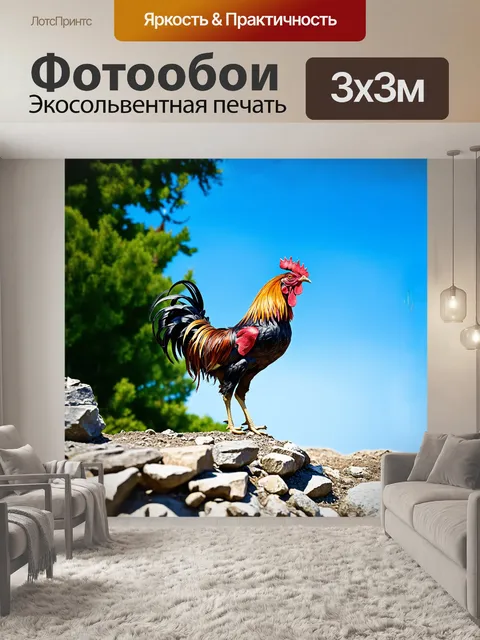 Фотообои грозный петух стоит на каменистом склоне, его перья развиваются на ветру под ярким солнечным светом