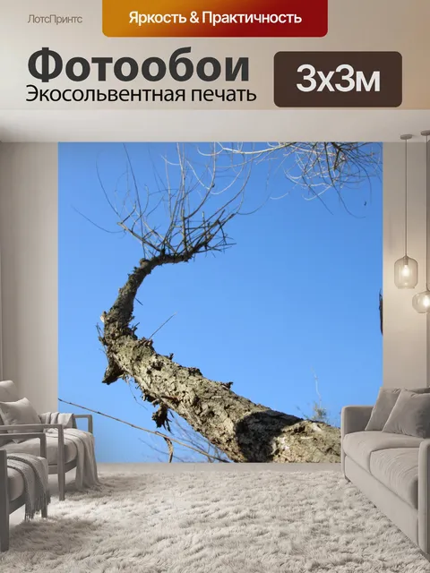 Фотообои Дерево Перспектива 33