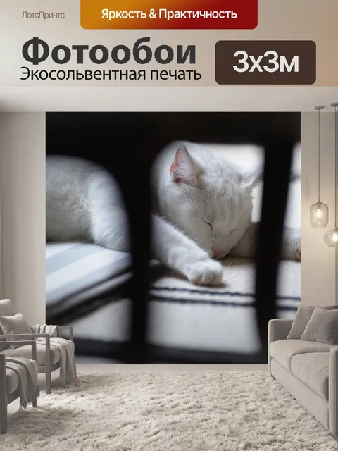 Фотообои Сплошной белый кот