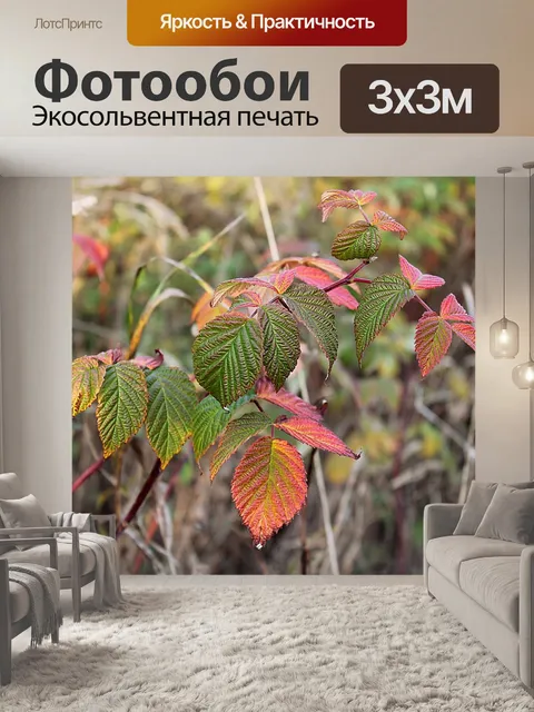 Фотообои Осень