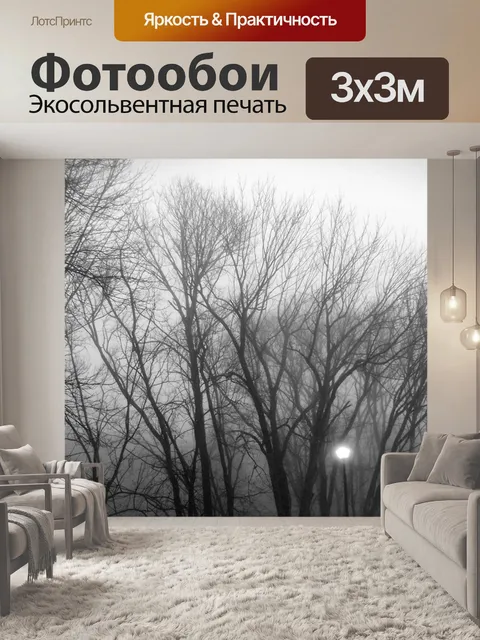 Фотообои Деревья в тумане