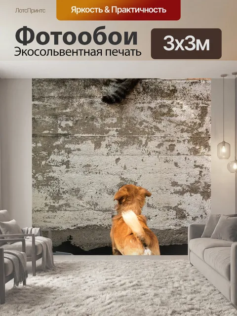 Фотообои Собака