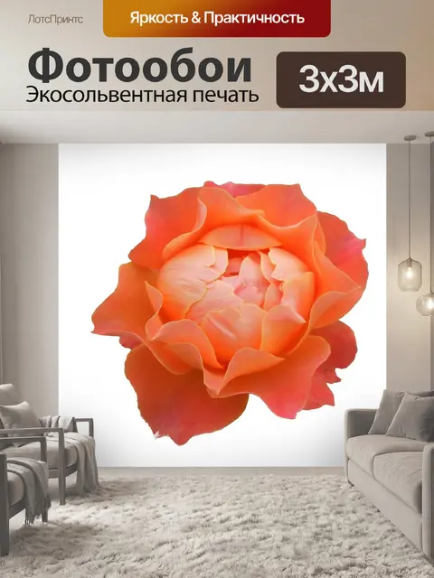 Фотообои Природа