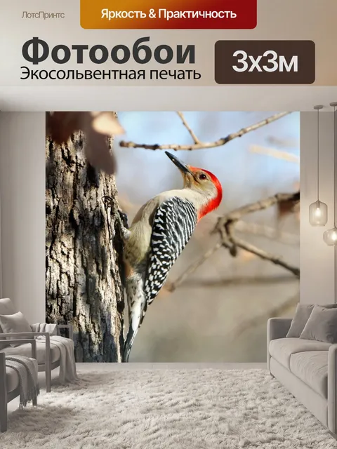 Фотообои Рыжий дятел осенью