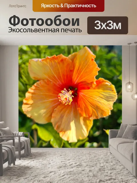 Фотообои Желтый цветок гибискуса