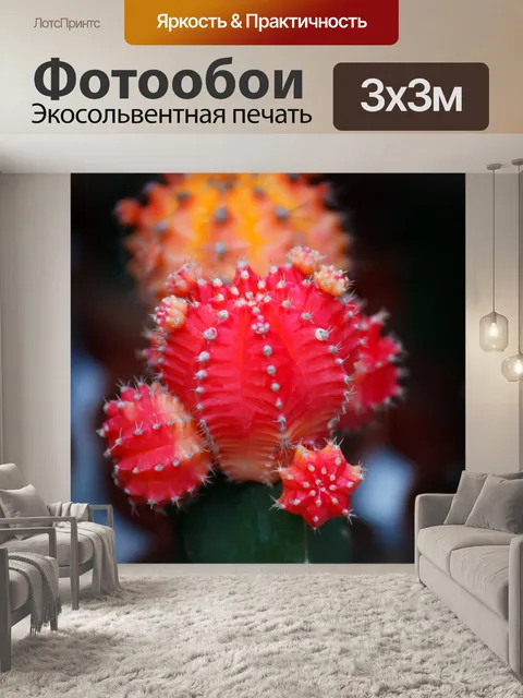 Фотообои красный цветущий кактус