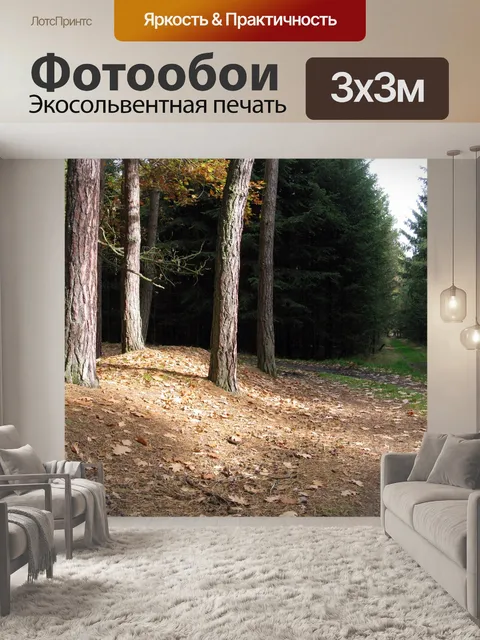 Фотообои Лес