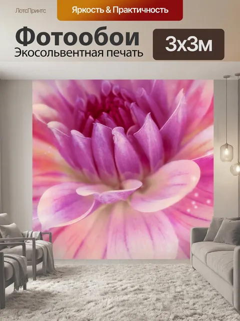 Фотообои Цветок георгина цветок розовый