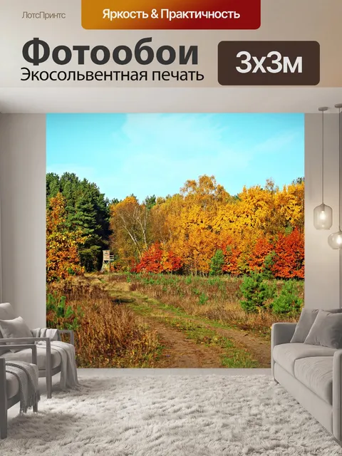 Фотообои Осенний лес