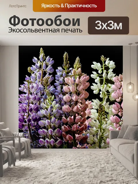 Фотообои Цветы Люпина