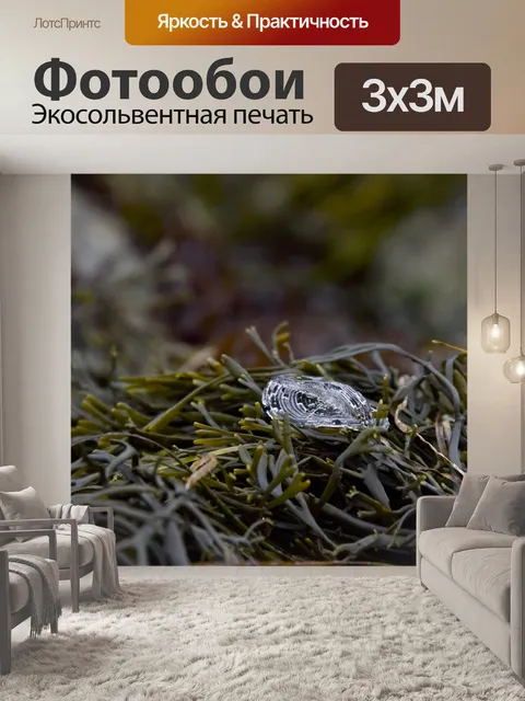 Фотообои Силайф на водоросли