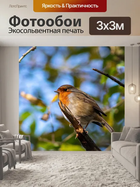 Фотообои Птица