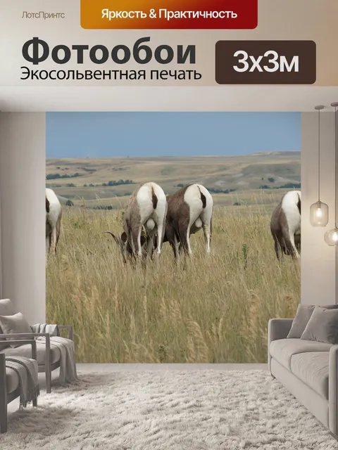 Фотообои Снежный баран