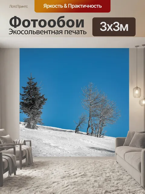 Фотообои Черно-белый