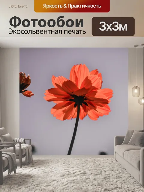 Фотообои Цветы