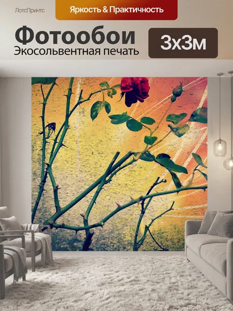 Фотообои Роза